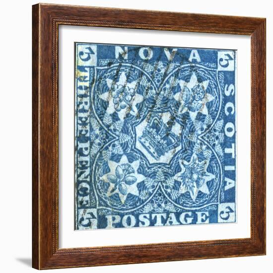 National Postal Museum: 3-Pence Crown of Great Britain and Heraldic Flowers of the Empire stamp-null-Framed Art Print