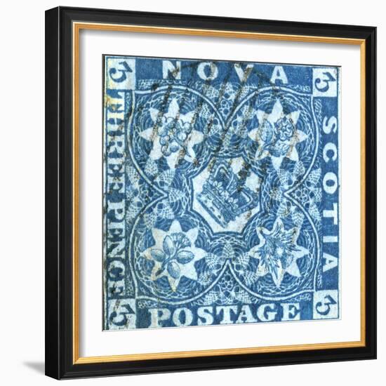 National Postal Museum: 3-Pence Crown of Great Britain and Heraldic Flowers of the Empire stamp-null-Framed Art Print