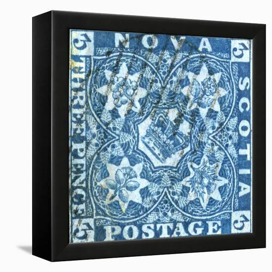 National Postal Museum: 3-Pence Crown of Great Britain and Heraldic Flowers of the Empire stamp-null-Framed Stretched Canvas