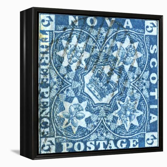 National Postal Museum: 3-Pence Crown of Great Britain and Heraldic Flowers of the Empire stamp-null-Framed Stretched Canvas