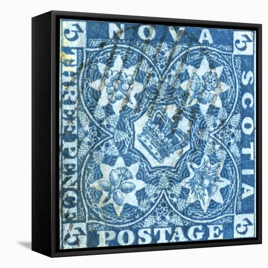 National Postal Museum: 3-Pence Crown of Great Britain and Heraldic Flowers of the Empire stamp-null-Framed Stretched Canvas