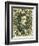 National Postal Museum: 5-Cent Green Jefferson Davis Confederate Stamp-null-Framed Premium Giclee Print