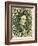 National Postal Museum: 5-Cent Green Jefferson Davis Confederate Stamp-null-Framed Art Print