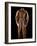 National Postal Museum: Amelia Earhart's Flight Suit-null-Framed Photographic Print