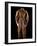 National Postal Museum: Amelia Earhart's Flight Suit-null-Framed Photographic Print