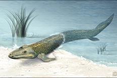 Tiktaalik Prehistoric Fish, Artwork-National Science Foundation-Laminated Photographic Print