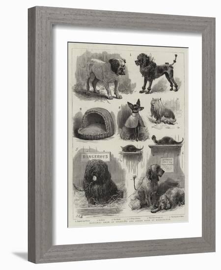 National Show of Sporting and Other Dogs at Birmingham-John Charles Dollman-Framed Giclee Print