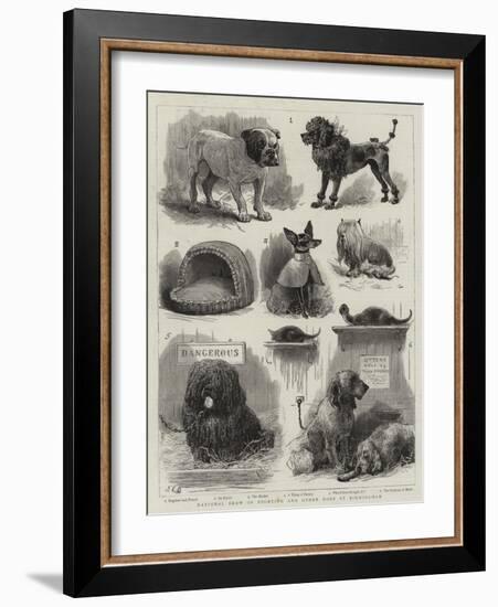 National Show of Sporting and Other Dogs at Birmingham-John Charles Dollman-Framed Giclee Print