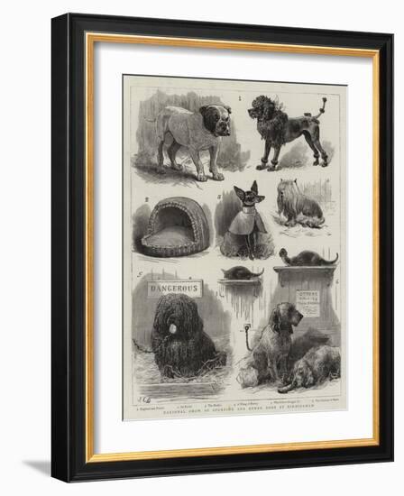 National Show of Sporting and Other Dogs at Birmingham-John Charles Dollman-Framed Giclee Print