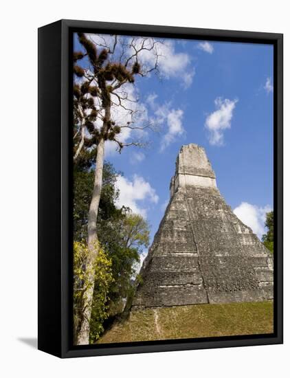 National Tree Called Kapok, Mayan Ruins, Tikal, Guatemala-Bill Bachmann-Framed Premier Image Canvas