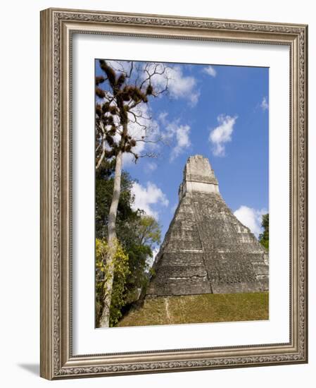 National Tree Called Kapok, Mayan Ruins, Tikal, Guatemala-Bill Bachmann-Framed Photographic Print