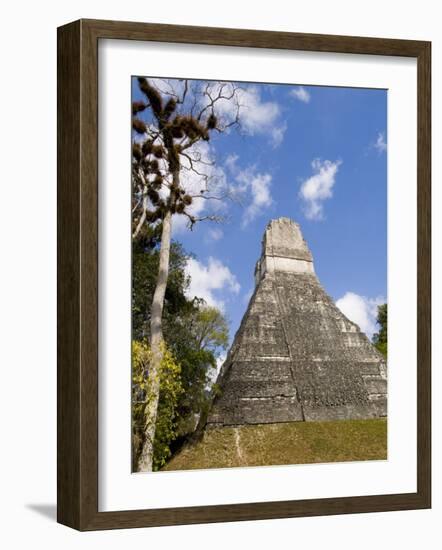 National Tree Called Kapok, Mayan Ruins, Tikal, Guatemala-Bill Bachmann-Framed Photographic Print
