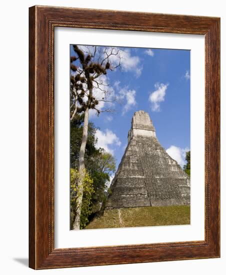 National Tree Called Kapok, Mayan Ruins, Tikal, Guatemala-Bill Bachmann-Framed Photographic Print