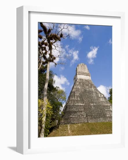 National Tree Called Kapok, Mayan Ruins, Tikal, Guatemala-Bill Bachmann-Framed Photographic Print