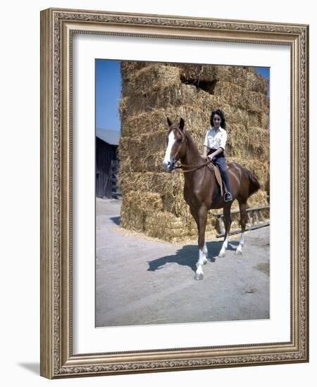 NATIONAL VELVET, 1944 directed by CLARENCE BROWN Elizabeth Taylor (photo)-null-Framed Photo