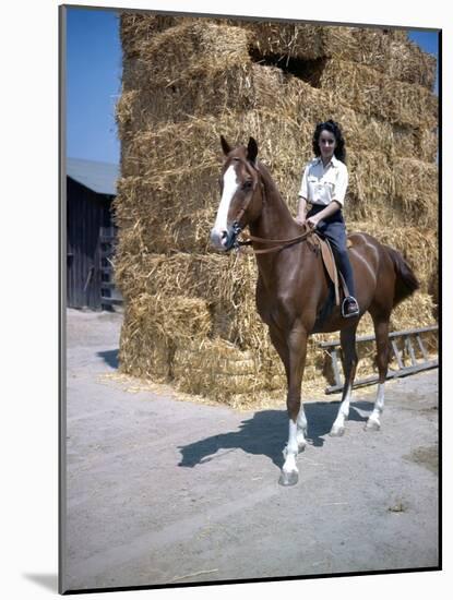 NATIONAL VELVET, 1944 directed by CLARENCE BROWN Elizabeth Taylor (photo)-null-Mounted Photo