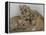 National Zoological Park: African Lion-null-Framed Premier Image Canvas