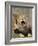 National Zoological Park: African Lion-null-Framed Photographic Print