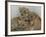 National Zoological Park: African Lion-null-Framed Photographic Print