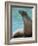 National Zoological Park: California Sea Lion-null-Framed Photographic Print