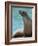 National Zoological Park: California Sea Lion-null-Framed Photographic Print