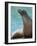 National Zoological Park: California Sea Lion-null-Framed Photographic Print