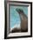 National Zoological Park: California Sea Lion-null-Framed Photographic Print