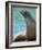 National Zoological Park: California Sea Lion-null-Framed Photographic Print