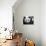 National Zoological Park: Giant Panda-null-Premium Photographic Print displayed on a wall
