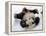 National Zoological Park: Giant Panda-null-Framed Premier Image Canvas