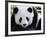 National Zoological Park: Giant Panda-null-Framed Photographic Print