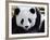 National Zoological Park: Giant Panda-null-Framed Photographic Print