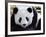 National Zoological Park: Giant Panda-null-Framed Photographic Print