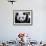 National Zoological Park: Giant Panda-null-Framed Photographic Print displayed on a wall