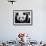 National Zoological Park: Giant Panda-null-Framed Photographic Print displayed on a wall