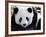 National Zoological Park: Giant Panda-null-Framed Photographic Print