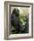 National Zoological Park: Lowland Gorilla-null-Framed Photographic Print