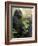 National Zoological Park: Lowland Gorilla-null-Framed Photographic Print