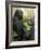 National Zoological Park: Lowland Gorilla-null-Framed Photographic Print