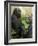 National Zoological Park: Lowland Gorilla-null-Framed Photographic Print