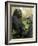 National Zoological Park: Lowland Gorilla-null-Framed Photographic Print