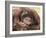 National Zoological Park: Orangutan-null-Framed Photographic Print