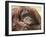 National Zoological Park: Orangutan-null-Framed Photographic Print