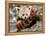 National Zoological Park: Red Panda-null-Framed Premier Image Canvas