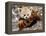 National Zoological Park: Red Panda-null-Framed Premier Image Canvas