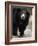 National Zoological Park: Sloth Bear-null-Framed Premium Photographic Print