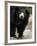 National Zoological Park: Sloth Bear-null-Framed Photographic Print