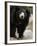 National Zoological Park: Sloth Bear-null-Framed Photographic Print