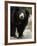 National Zoological Park: Sloth Bear-null-Framed Photographic Print