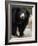 National Zoological Park: Sloth Bear-null-Framed Photographic Print